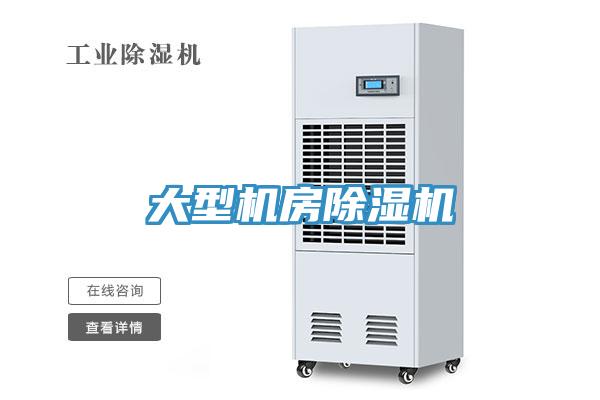 大型機房蘑菇视频网站