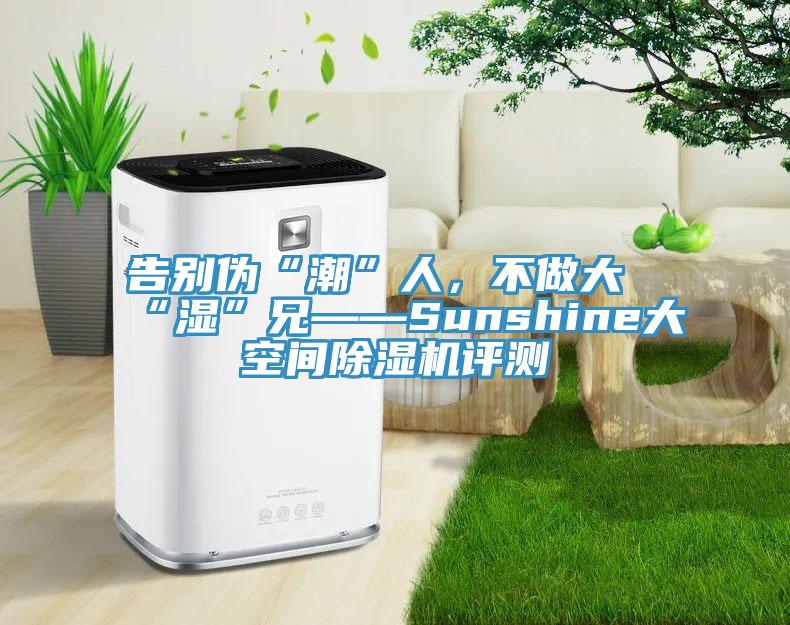 告別偽“潮”人，不做大“濕”兄——Sunshine大空間蘑菇视频网站評測