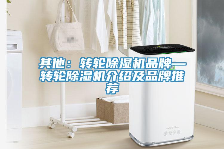其他：轉輪蘑菇视频网站品牌—轉輪蘑菇视频网站介紹及品牌推薦