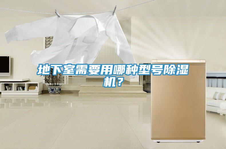 地下室需要用哪種型號蘑菇视频网站？
