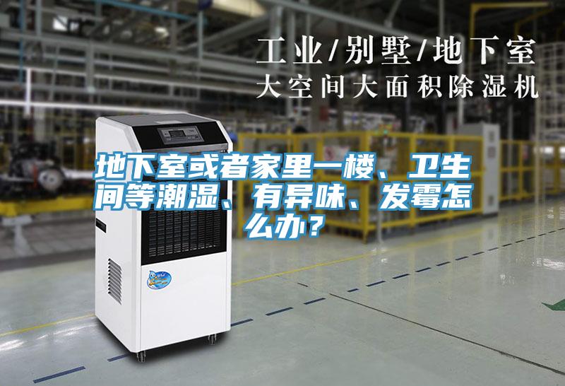 地下室或者家裏一樓、衛生間等潮濕、有異味、發黴怎麽辦？
