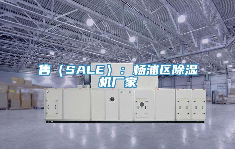 售（SALE）：楊浦區蘑菇视频网站廠家