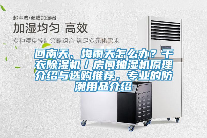 回南天、梅雨天怎麽辦？幹衣蘑菇视频网站／房間抽濕機原理介紹與選購推薦，專業的防潮用品介紹