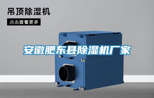 安徽肥東縣蘑菇视频网站廠家