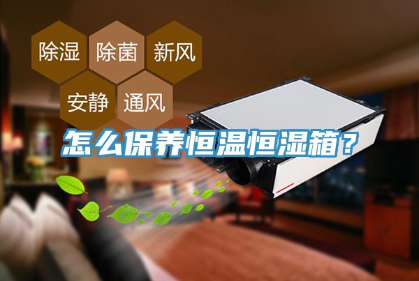 怎麽保養恒溫恒濕箱？