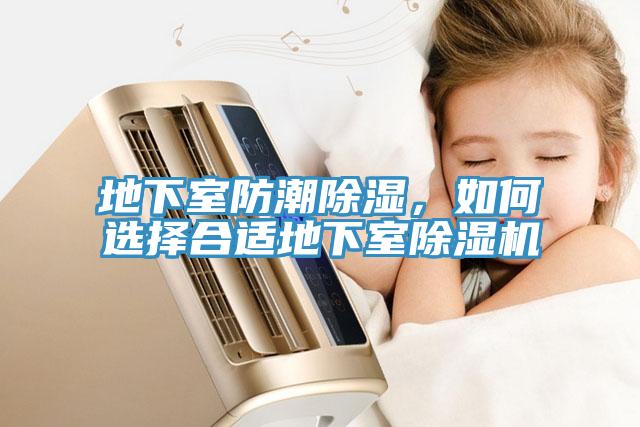 地下室防潮除濕，如何選擇合適地下室蘑菇视频网站