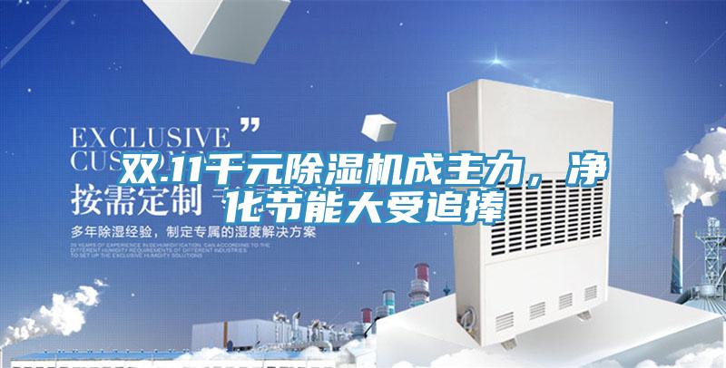 雙.11千元蘑菇视频网站成主力，淨化節能大受追捧
