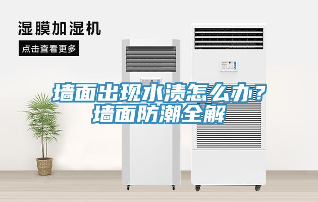 牆麵出現水漬怎麽辦？牆麵防潮全解