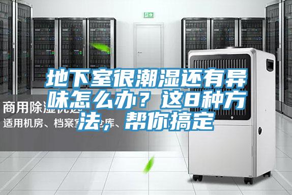 地下室很潮濕還有異味怎麽辦？這8種方法，幫你搞定