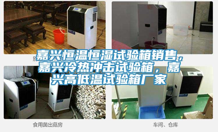 嘉興恒溫恒濕試驗箱銷售，嘉興冷熱衝擊試驗箱，嘉興高低溫試驗箱廠家