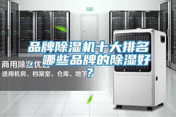 品牌蘑菇视频网站十大排名，哪些品牌的除濕好？