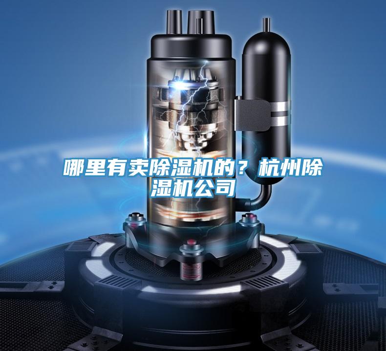 哪裏有賣蘑菇视频网站的？杭州蘑菇视频网站公司