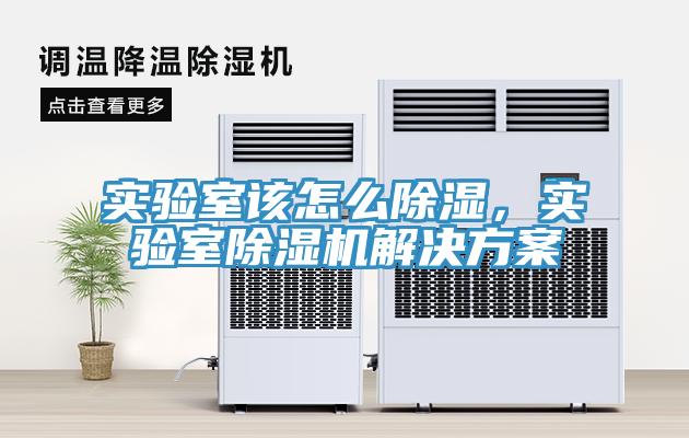 實驗室該怎麽除濕，實驗室蘑菇视频网站解決方案
