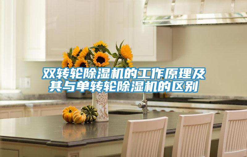 雙轉輪蘑菇视频网站的工作原理及其與單轉輪蘑菇视频网站的區別