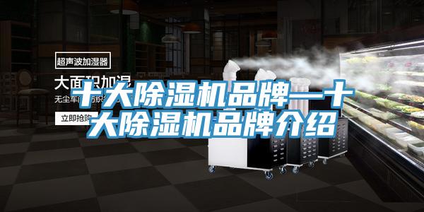 十大蘑菇视频网站品牌—十大蘑菇视频网站品牌介紹