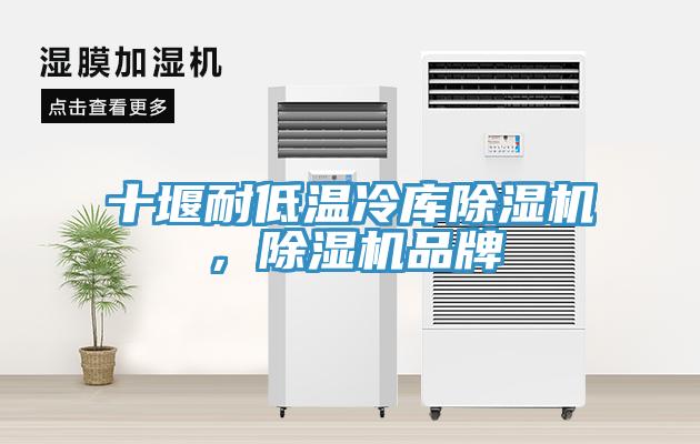 十堰耐低溫冷庫蘑菇视频网站，蘑菇视频网站品牌