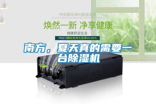 南方，夏天真的需要一台蘑菇视频网站
