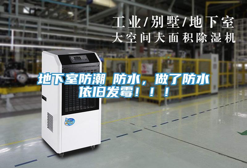 地下室防潮≠防水，做了防水依舊發黴！！！