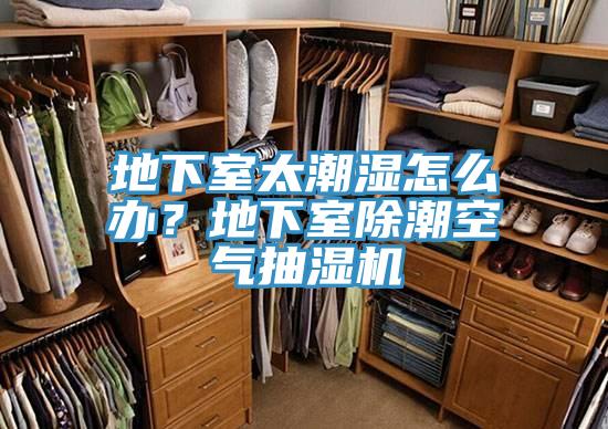 地下室太潮濕怎麽辦？地下室除潮空氣抽濕機