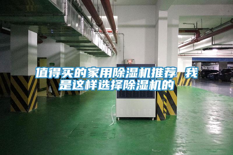 值得買的家用蘑菇视频网站推薦 我是這樣選擇蘑菇视频网站的