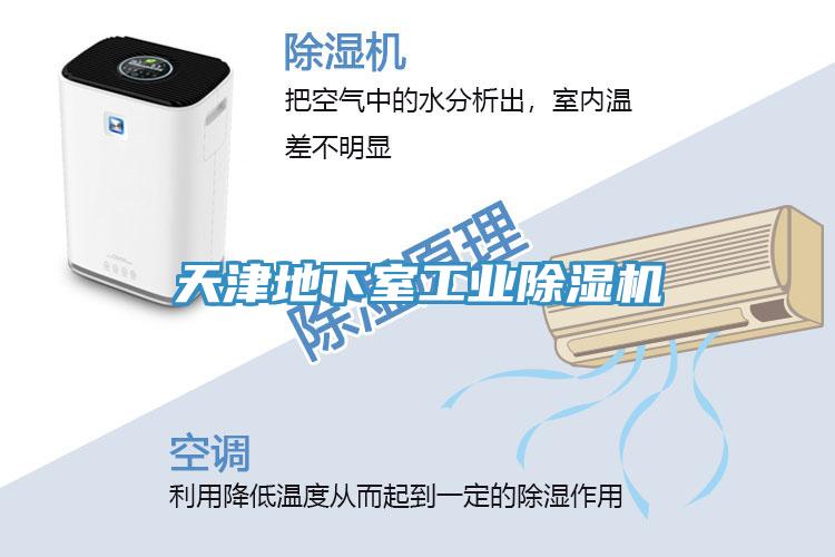 天津地下室工業蘑菇视频网站