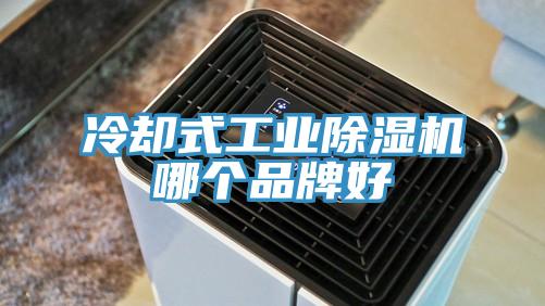 冷卻式工業蘑菇视频网站哪個品牌好