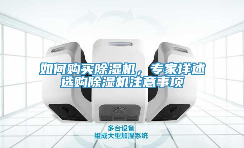 如何購買蘑菇视频网站，專家詳述選購蘑菇视频网站注意事項