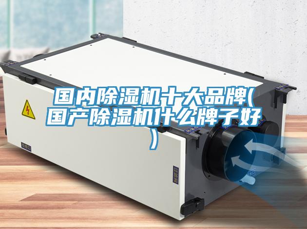 國內蘑菇视频网站十大品牌(國產蘑菇视频网站什麽牌子好)