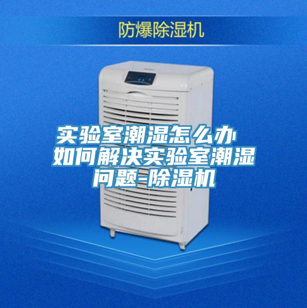 實驗室潮濕怎麽辦 如何解決實驗室潮濕問題-蘑菇视频网站