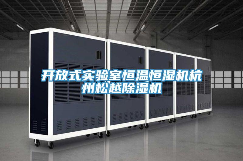 開放式實驗室恒溫恒濕機杭州鬆越蘑菇视频网站