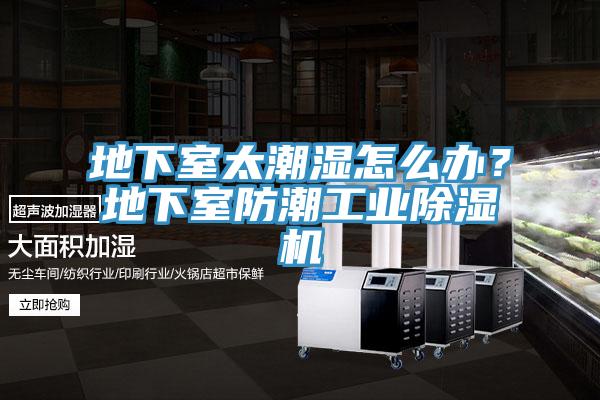 地下室太潮濕怎麽辦？地下室防潮工業蘑菇视频网站