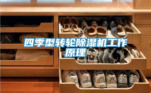 四季型轉輪蘑菇视频网站工作原理