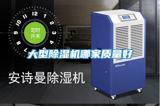 大型蘑菇视频网站哪家質量好