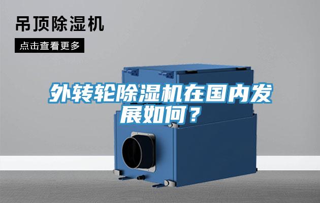 外轉輪蘑菇视频网站在國內發展如何？