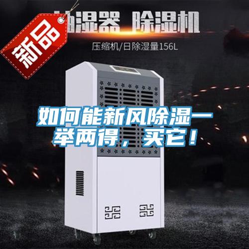 如何能新風除濕一舉兩得，買它！