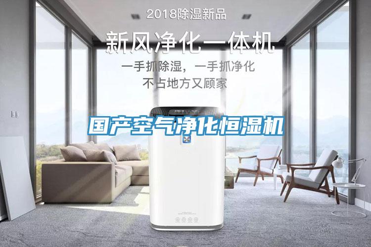 國產空氣淨化恒濕機