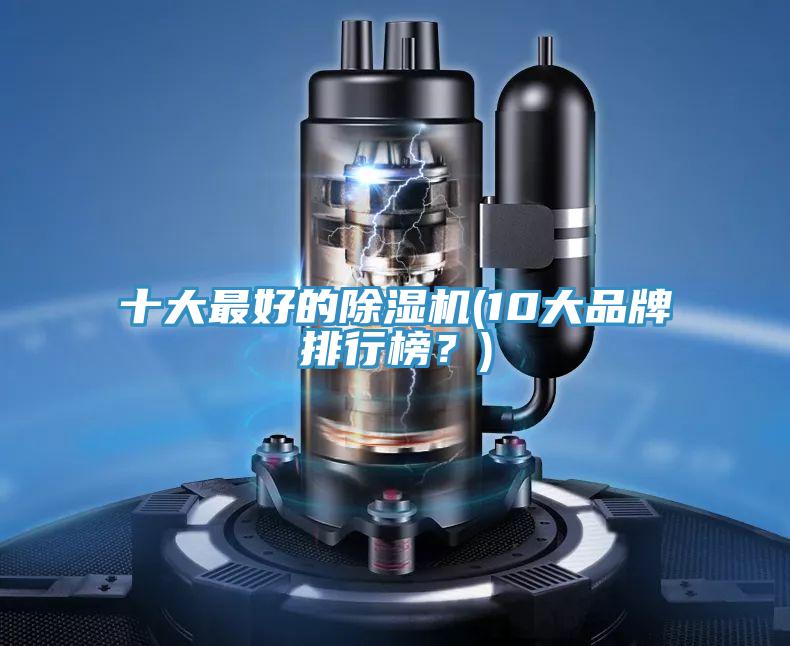 十大最好的蘑菇视频网站(10大品牌排行榜？)