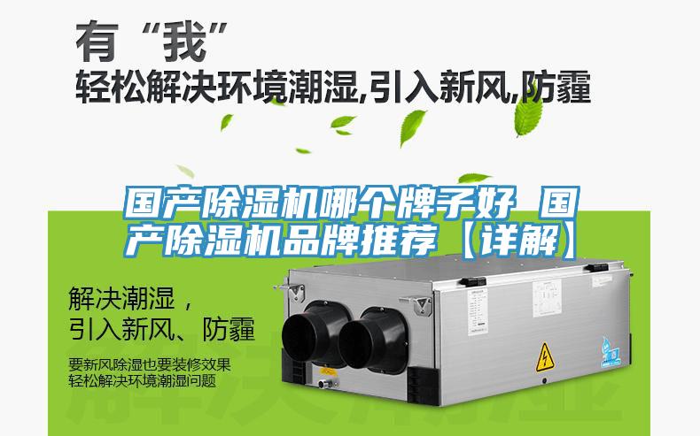 國產蘑菇视频网站哪個牌子好 國產蘑菇视频网站品牌推薦【詳解】