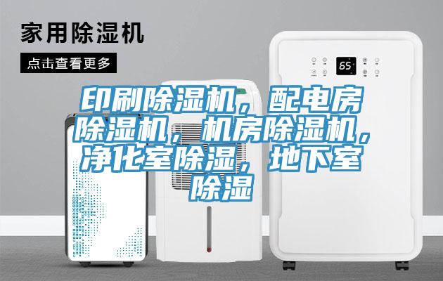 印刷蘑菇视频网站，配電房蘑菇视频网站，機房蘑菇视频网站，淨化室除濕，地下室除濕