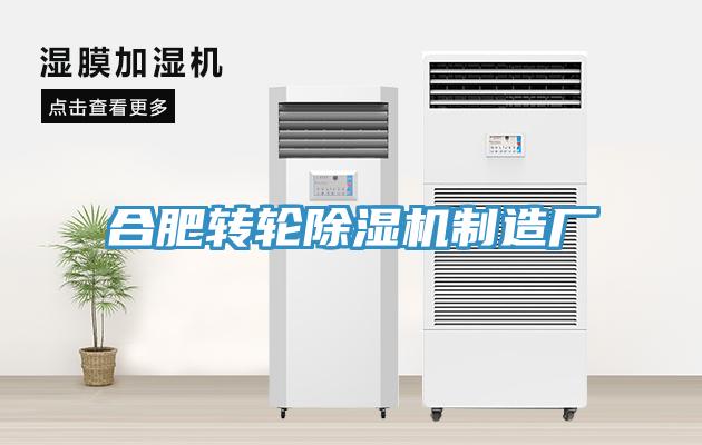 合肥轉輪蘑菇视频网站製造廠
