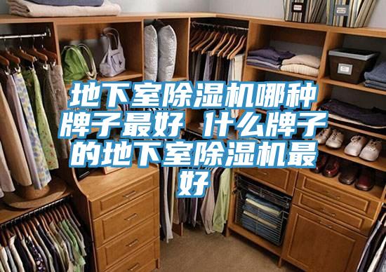 地下室蘑菇视频网站哪種牌子最好 什麽牌子的地下室蘑菇视频网站最好