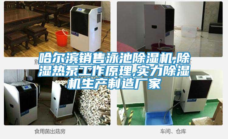 哈爾濱銷售泳池蘑菇视频网站,除濕熱泵工作原理,實力蘑菇视频网站生產製造廠家
