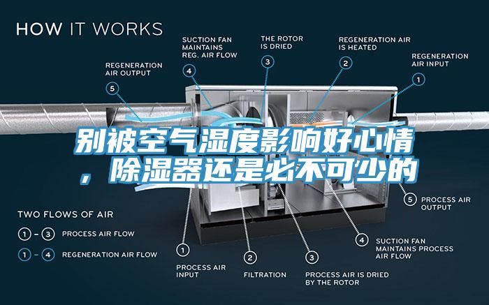 別被空氣濕度影響好心情，除濕器還是必不可少的