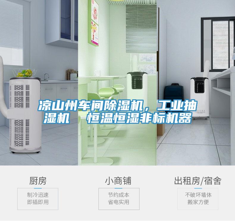 涼山州車間蘑菇视频网站，工業抽濕機  恒溫恒濕非標機器