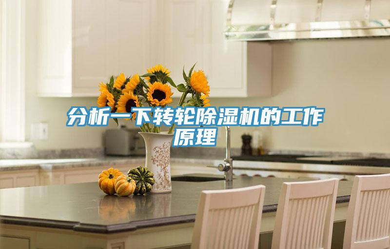 分析一下轉輪蘑菇视频网站的工作原理