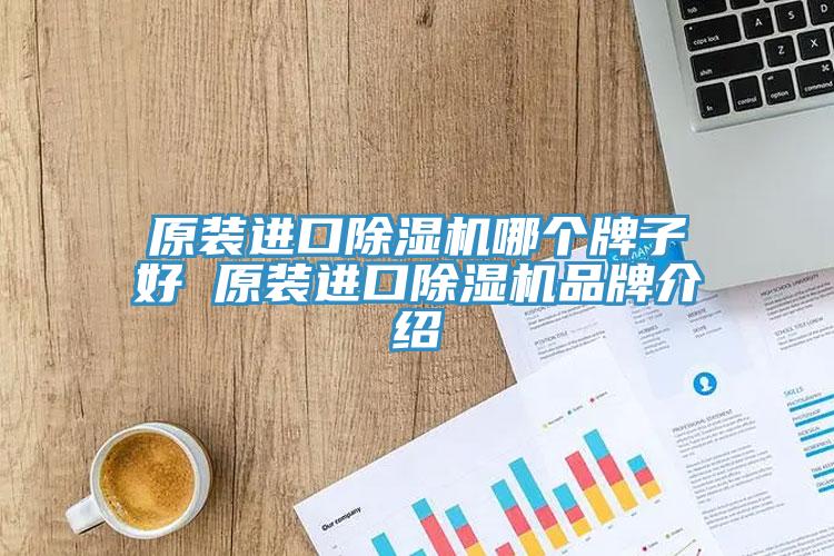 原裝進口蘑菇视频网站哪個牌子好 原裝進口蘑菇视频网站品牌介紹