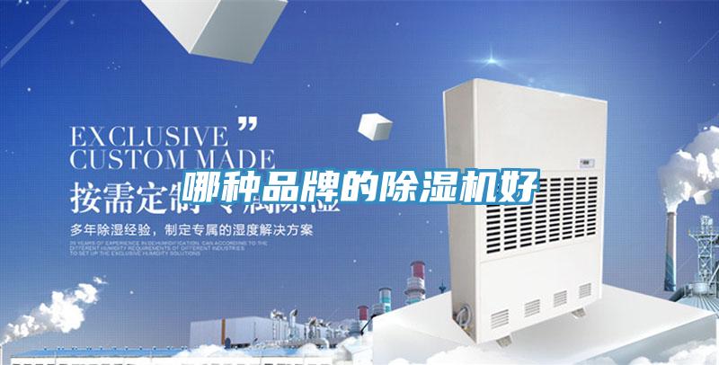 哪種品牌的蘑菇视频网站好