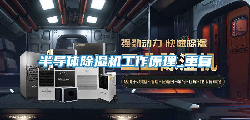 半導體蘑菇视频网站工作原理_重複