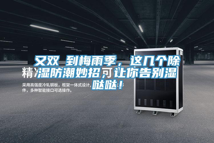 又雙叒到梅雨季，這幾個除濕防潮妙招，讓你告別濕噠噠！