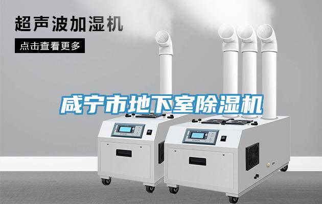 鹹寧市地下室蘑菇视频网站